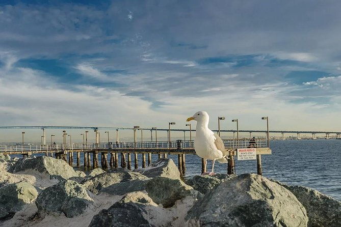 all-day-san-diego-scenic-tour