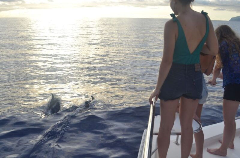all-inclusive-whale-and-dolphin-watching-luxury-tour