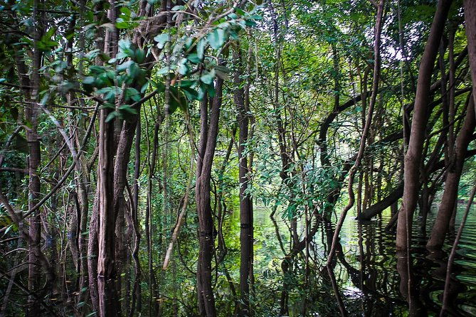 amazon-survival-tour-4d-3n