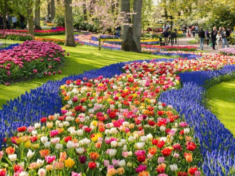 amsterdam-keukenhof-lunch-in-leiden-windmill-cruise-tour