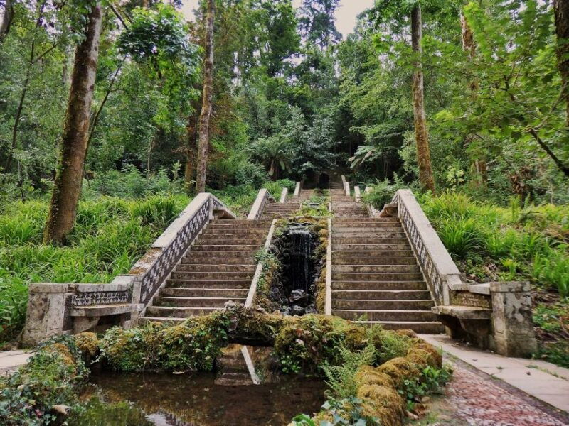 an-adventure-through-the-forest-and-palace-of-bussaco-coim