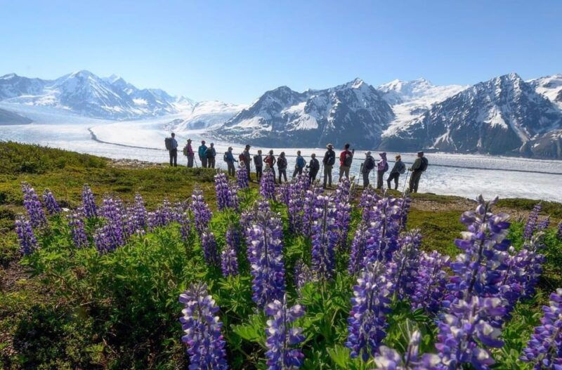 anchorage-grand-knik-glacier-helicopter-tour-with-landings