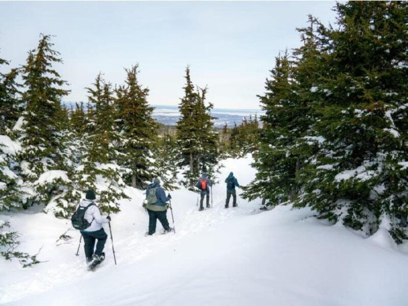 anchorage-heli-snowshoe-adventure