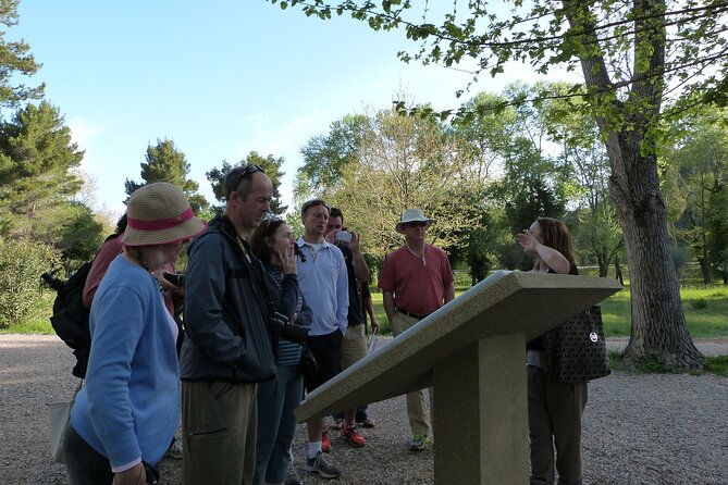 ancient-olympia-archeological-site-museum-private-tour