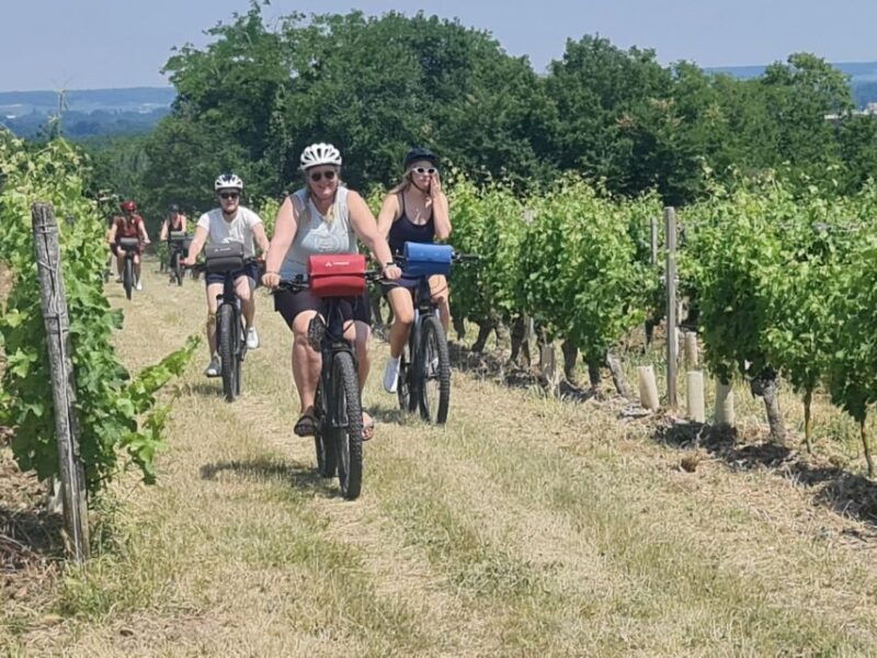 angers-cycling-tour-with-wine-tastings