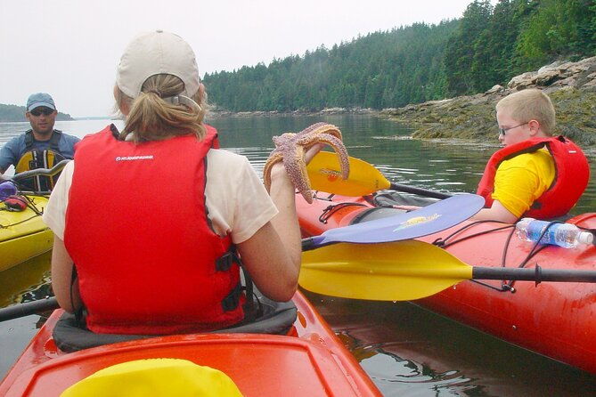 aqua-safari-kayak-tour-departing-southwest-harbor