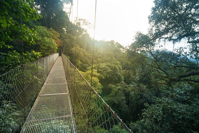arenal-hanging-bridges-from-la-fortuna