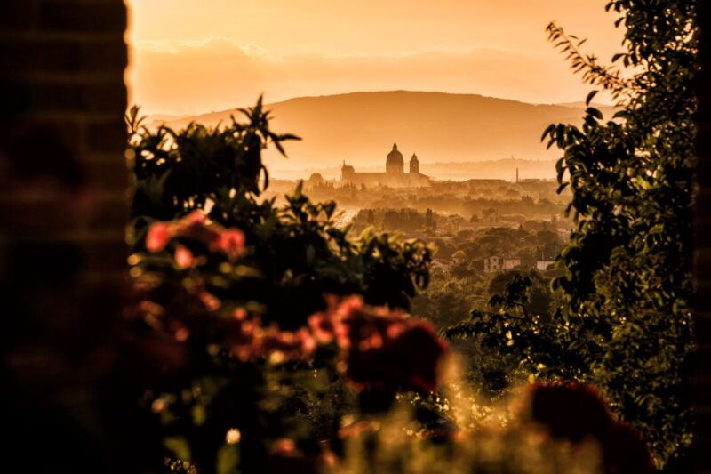 assisi-organic-wine-and-cheese-tasting