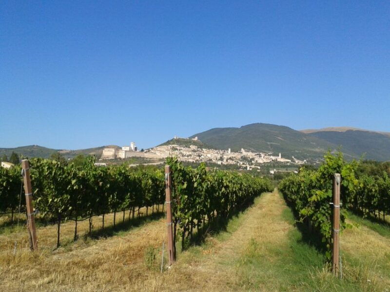 assisi-rental-vespa-125cc-full-day
