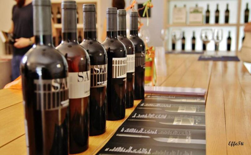 assisi-wine-tasting-gourmet-pairing-walk-in-the-vineyards