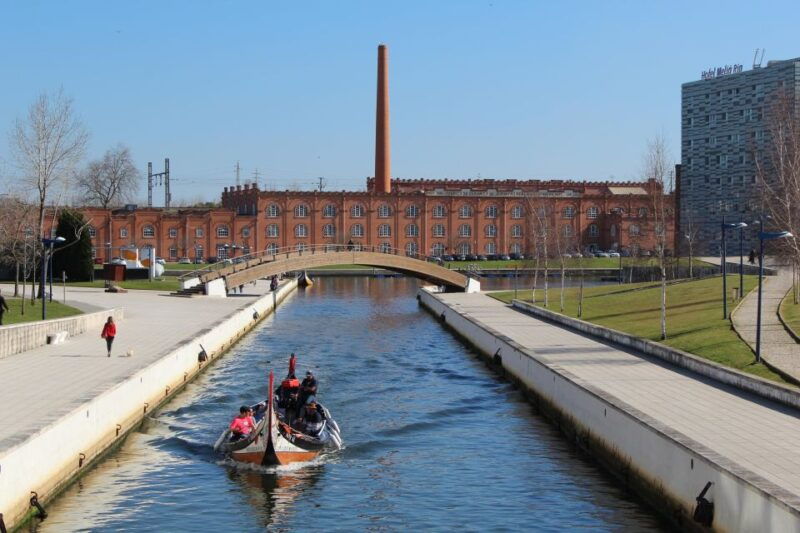 aveiro-private-walking-tour-in-the-city-and-moliceiro-boat