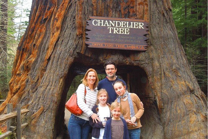 avenue-of-the-giant-redwood-private-1-day-tour-from-san-francisco