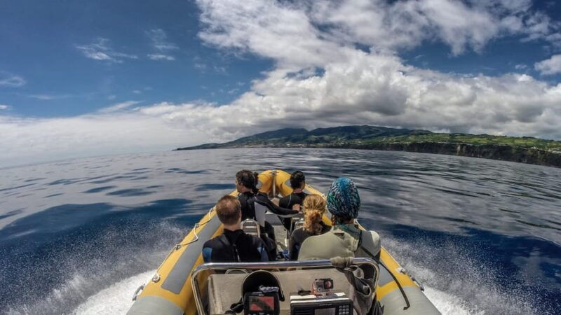 azores-swim-with-dolphins-atlantic-experience