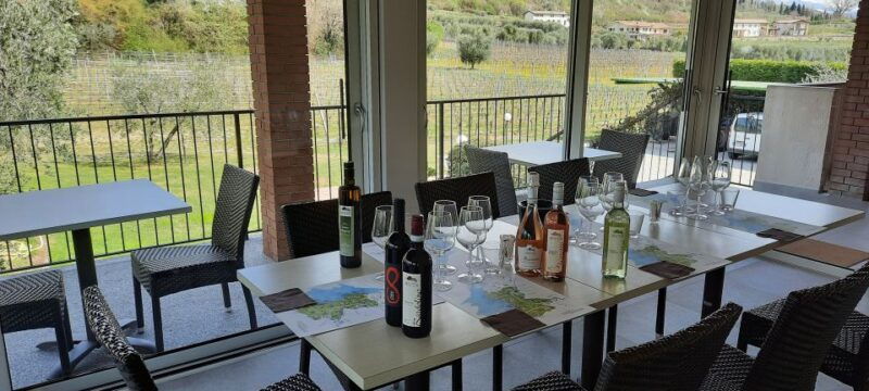 bardolino-vineyard-tour-with-wine-olive-oil-food-tasting