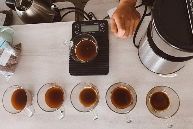 barismo-for-beginners