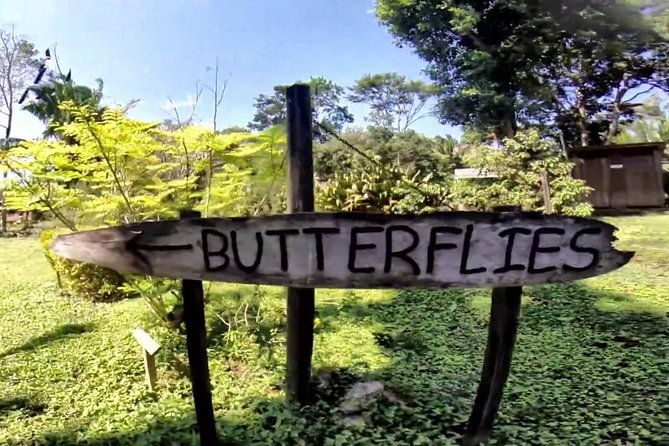 barton-creek-cave-butterfly-farm