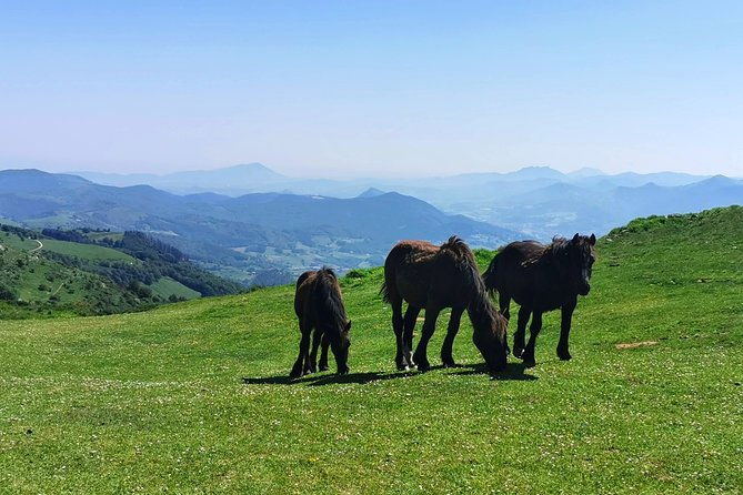 basque-mountains-ocean-sanctuary-of-loyola-private-cultural-adventure