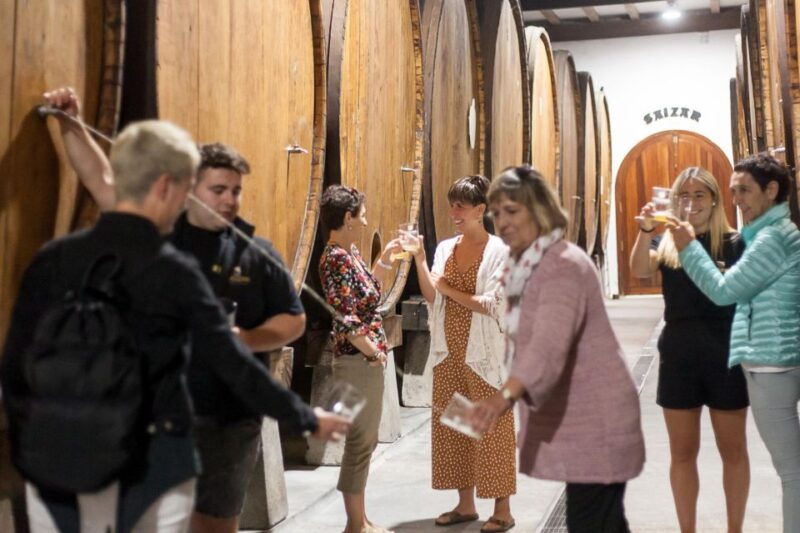 basque-press-farm-and-traditional-cider-house-with-transport