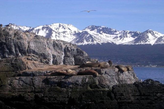 beagle-channel-yacht-sailing-tour-from-ushuaia