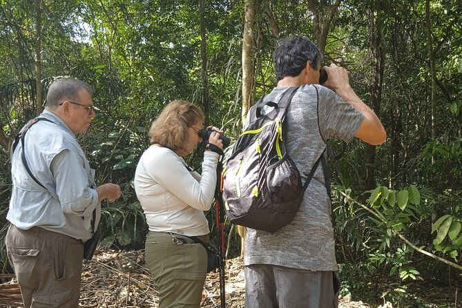 beautiful-birding-pipeline-road-from-amador-cruise-port-panama