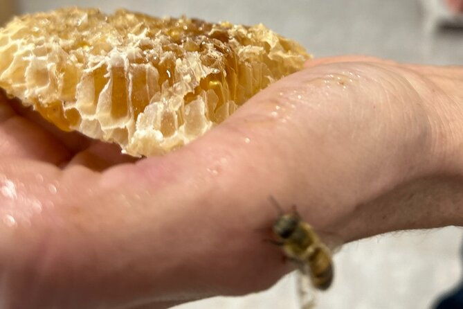beekeeping-experience-areti-honey