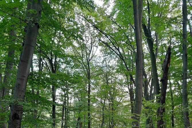 belgrade-hiking-tour-on-mountain-avala