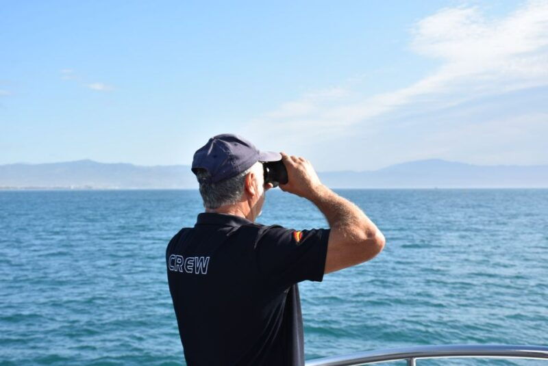benalmadena-dolphin-watching-boat-tour