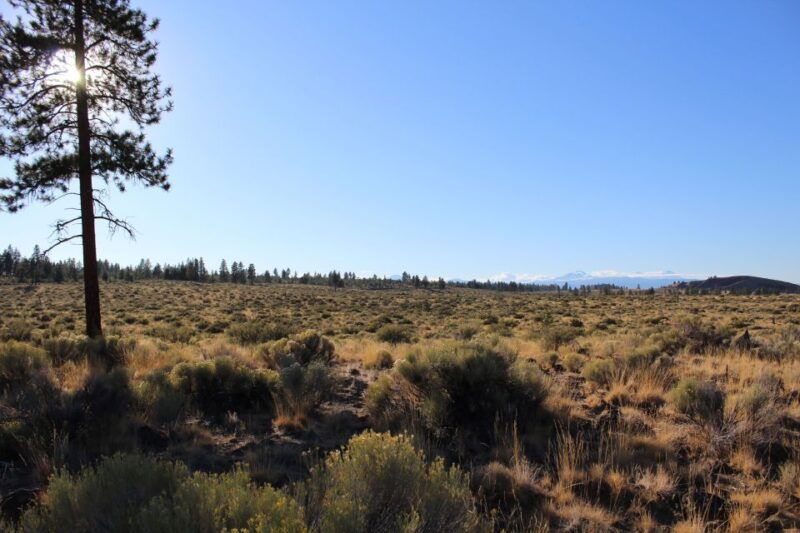 bend-half-day-lava-tube-cave-tour
