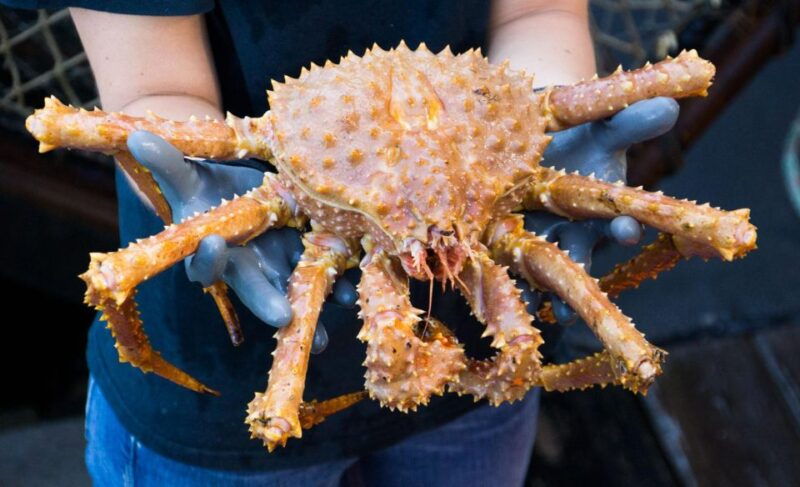 bering-sea-crab-fishermens-tour