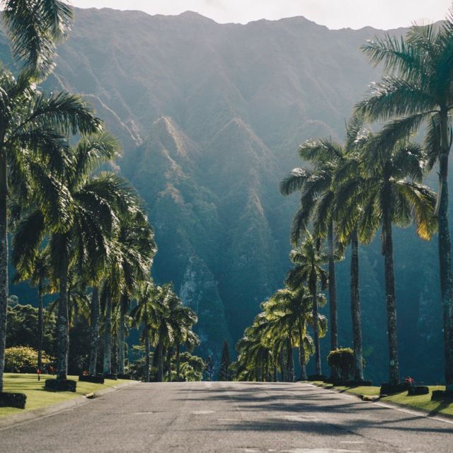 best-of-oahu-in-one-day