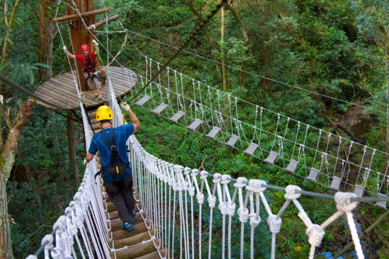 big-island-3-hour-kohala-canopy-zipline-adventure