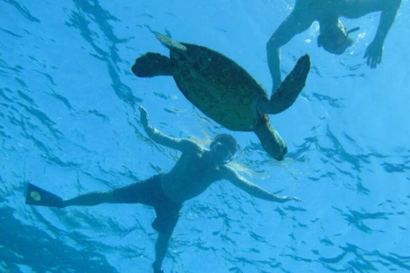 big-island-captain-cook-sightseeing-snorkel-expedition
