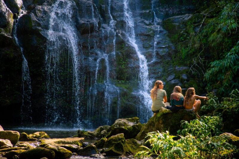 big-island-full-day-adventure-tour-of-the-kohala-waterfalls