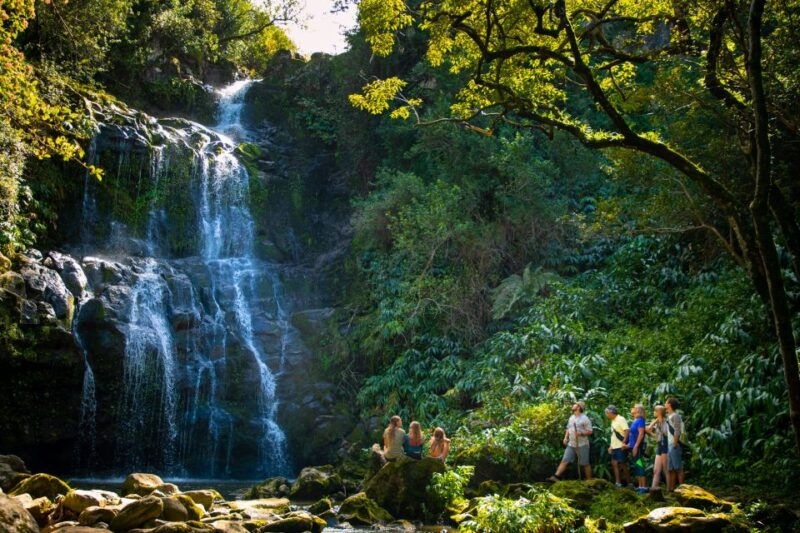 big-island-full-day-kohala-zipline-and-waterfall-adventure