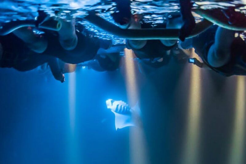 big-island-night-swim-with-manta-ray-with-hot-chocolate