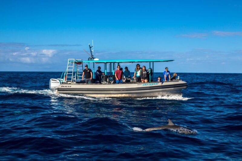 big-island-south-kona-snorkeling-and-coastline-exploration