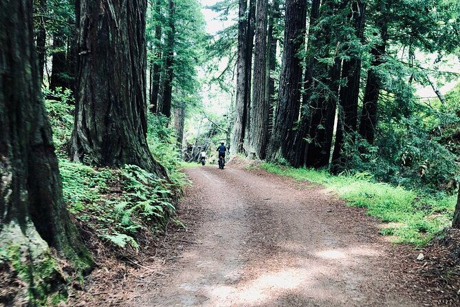 big-surs-old-coast-road-ebike-tour