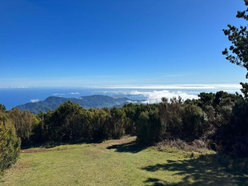 bike-tour-botanical-levels-of-madeira-trail-experience