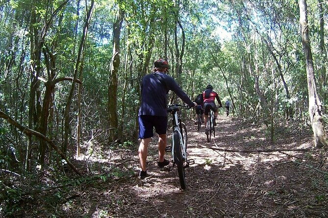 bike-tour-the-shores-of-lake-itaipu-in-the-middle-of-the-forest