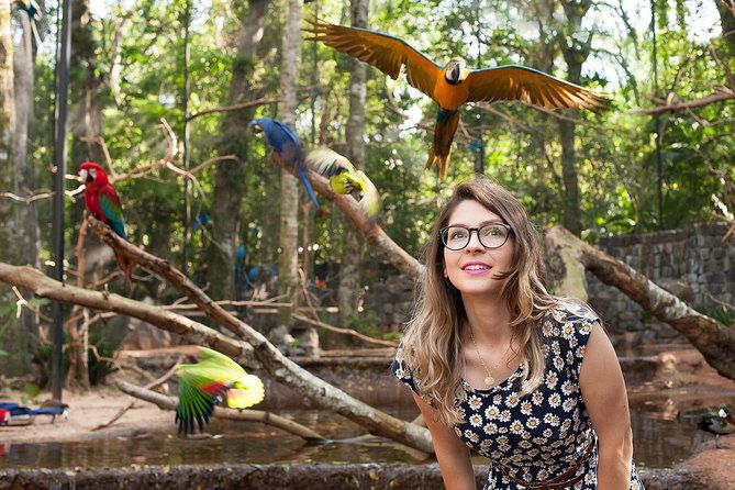 bird-park-iguassu-brazilian-side-from-puerto-iguazu-hotels-private-tour