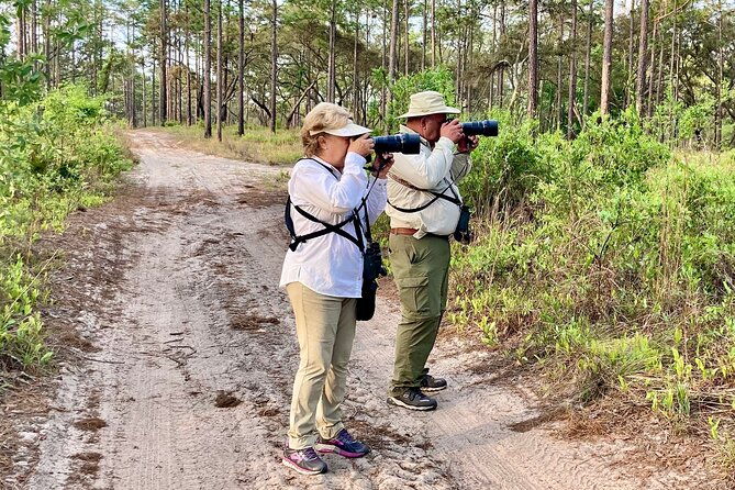 birding-and-wildlife-tour-of-floridas-treasure-coast
