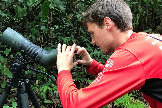 birding-at-el-rey-marshesrice-fieldscanals-private-birding-tour