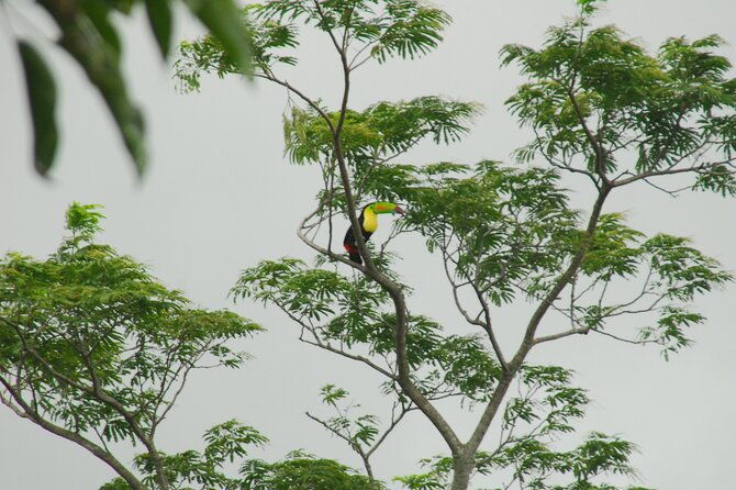 birdwatching-hiking-tour