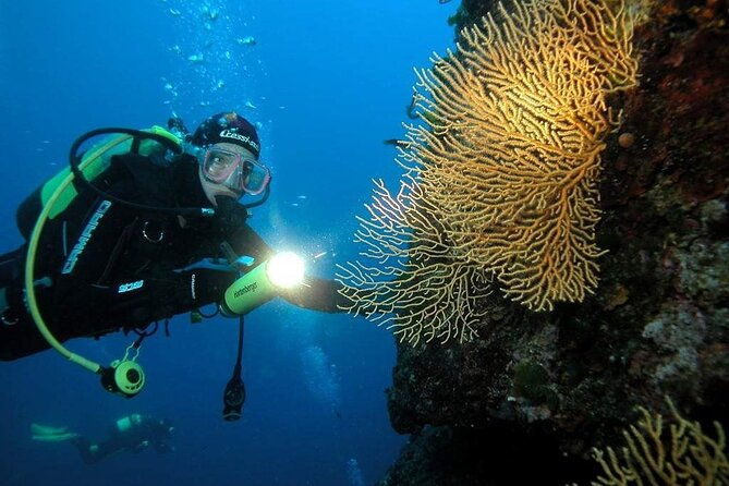 blue-cave-and-islands-private-tour-from-split