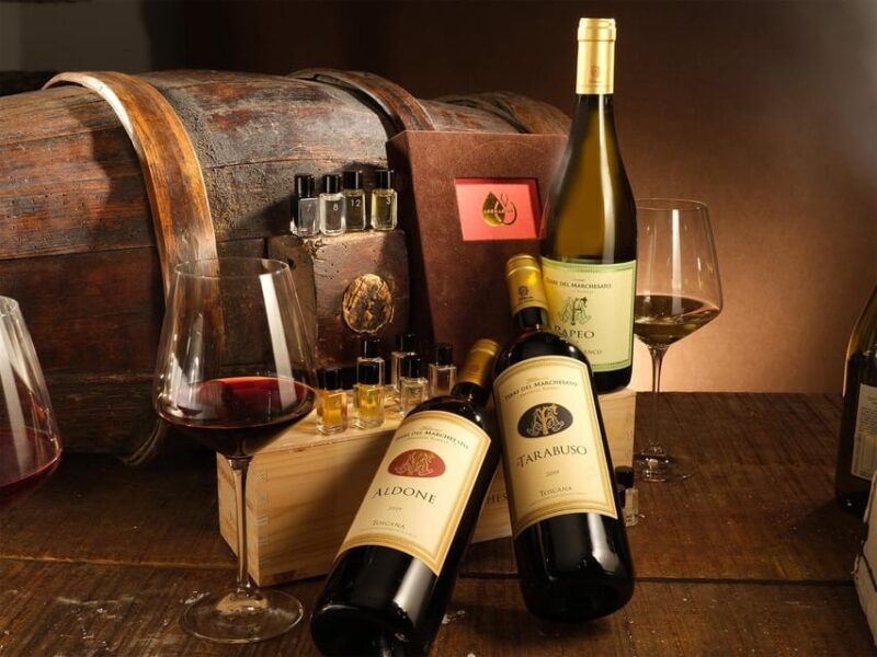 bolgheri-sensorial-wine-tasting-at-famous-winery