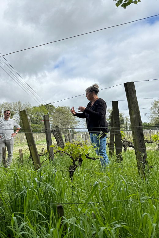 bordeaux-backcountry-e-bike-tour-with-lunch-wine-tasting