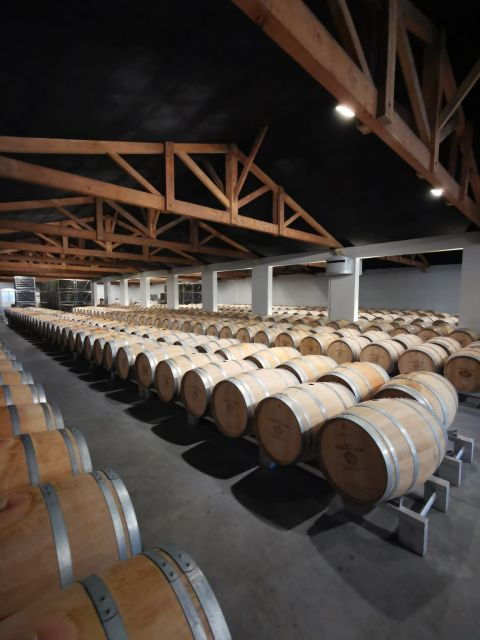 bordeaux-full-day-wine-tastings-lunch