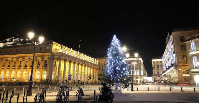 bordeaux-tour-with-private-guide