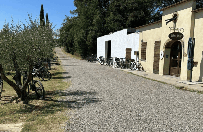 boutique-winery-visit-wine-tasting-near-arezzo