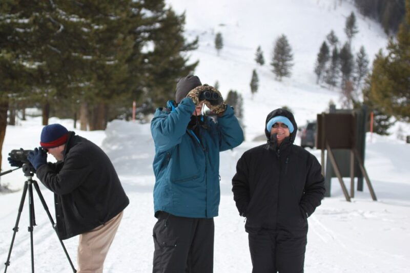 bozeman-yellowstone-wolves-and-winter-4day-3night-adventure